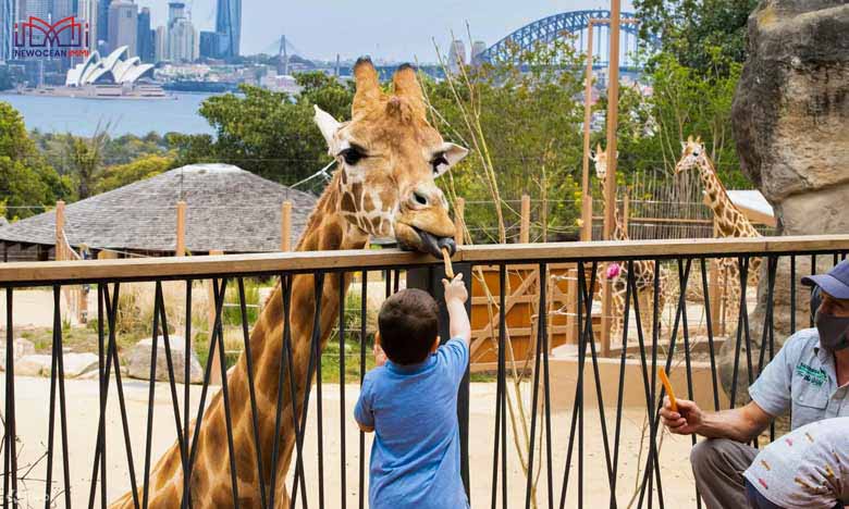 Vườn bách thú Taronga là một trong những điểm du lịch nổi tiếng tại thành phố