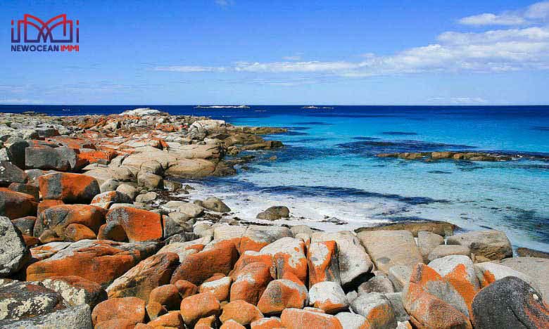 Vịnh Bay of Fires - Tasmania 